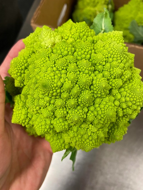 9 Surprising Vegetables That Look Like Flowers 1