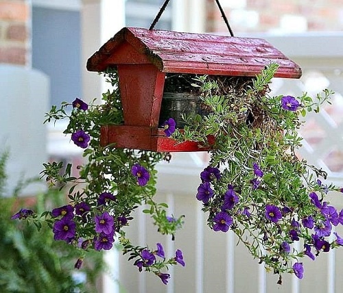 23 Unusual Plant Pots That Will Surprise You! 8