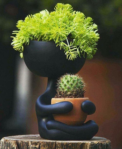 24 Unusual Plant Pots That Will Surprise You! 3