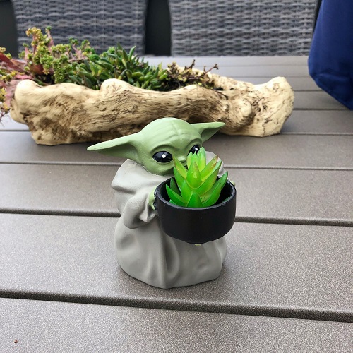 23 Unusual Plant Pots That Will Surprise You! 12
