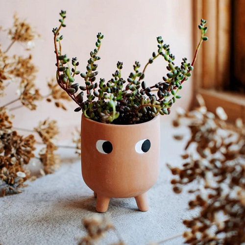 24 Unusual Plant Pots That Will Surprise You! 2