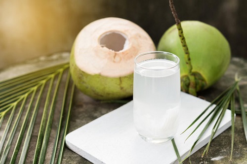 Is Coconut Water Good For Plants? 2