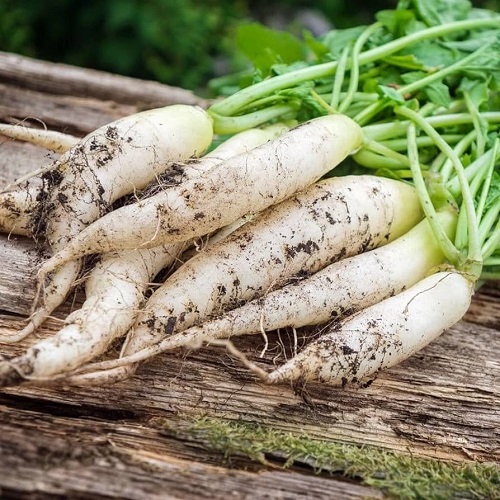 6 Best White White Carrots that Taste Delicious 2