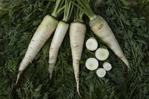 6 Best White White Carrots that Taste Delicious 3