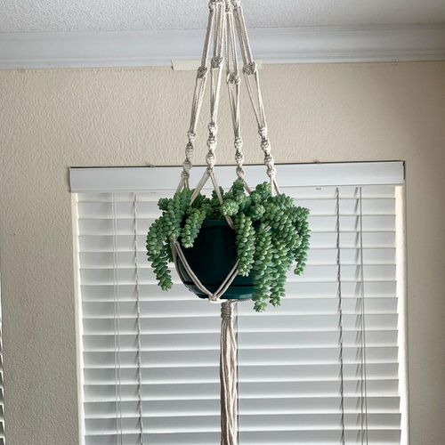 Best Plants For Macrame Hangers 13