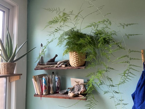 Cleverly Insane Ways to Display Ferns Indoors 33