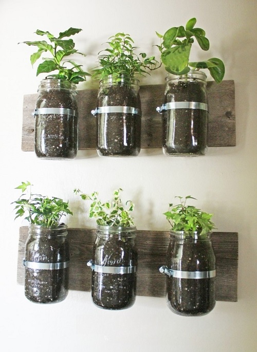Indoor Plants in Mason Jar Ideas 17