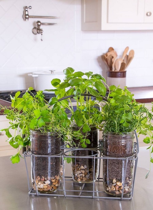 Indoor Plants in Mason Jar Ideas 9