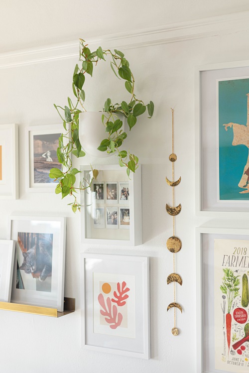 Beautiful Indoor Plant Trellis Ideas 