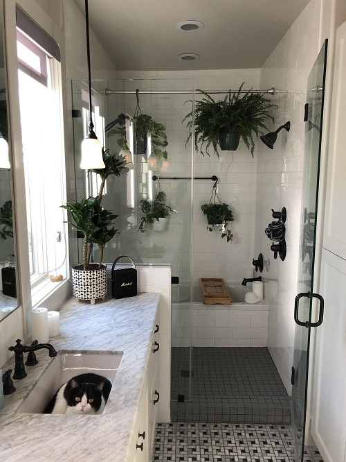 Plants in Shower Ideas 15