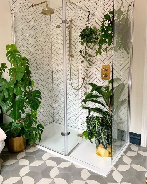 Plants in Shower Ideas 9