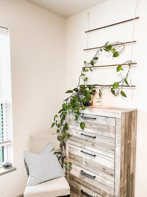 DIY Indoor Plant Trellis Ideas 6