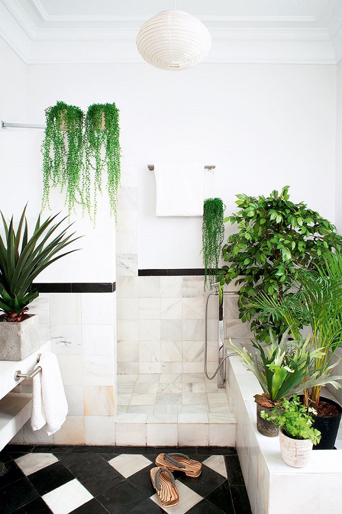 Plants in Shower Ideas 1