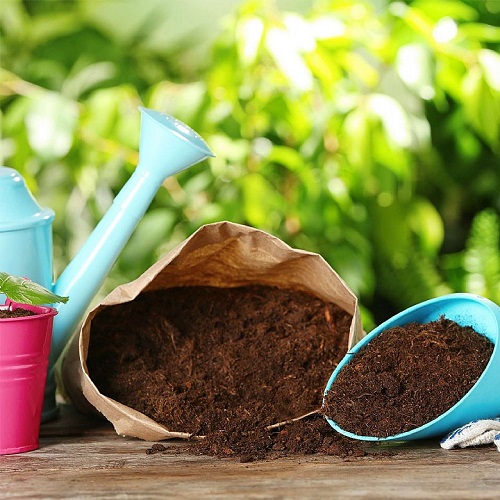 Tips to Follow When Using Coffee Grounds