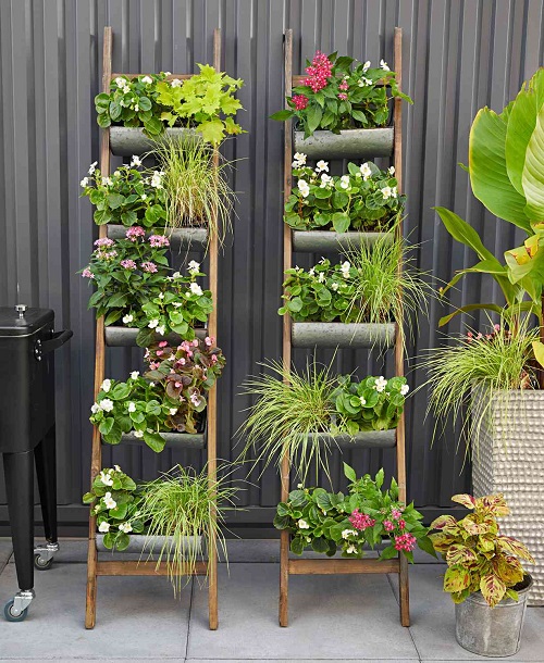 plant ladder with flowers