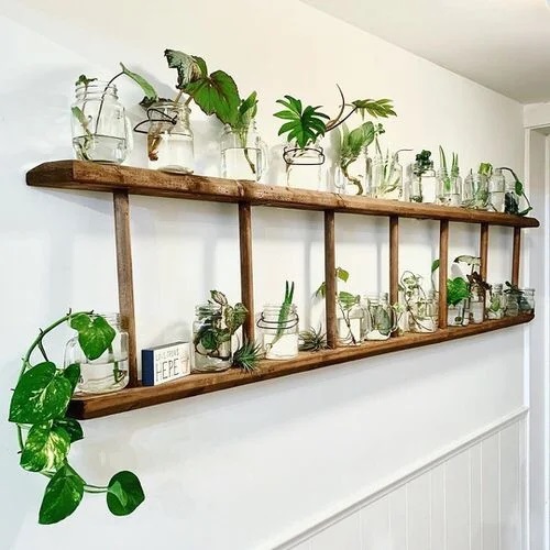 horizontal plant ladder
