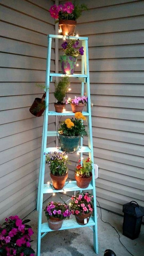 plant Ladder with Integrated LED Lights