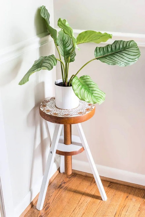 DIY Plant Beautiful Stand Ideas