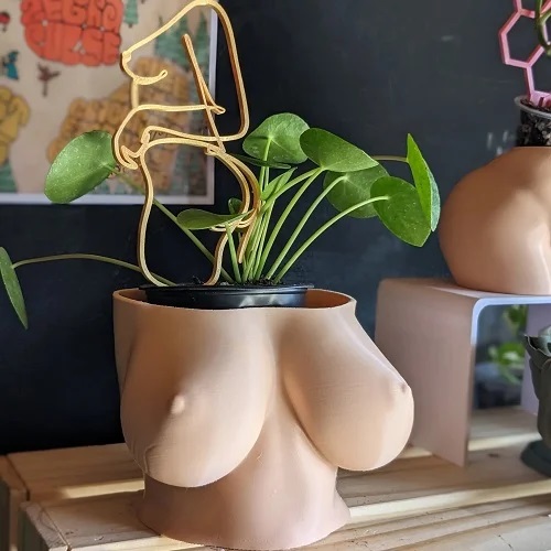 boobs in the garden ideas