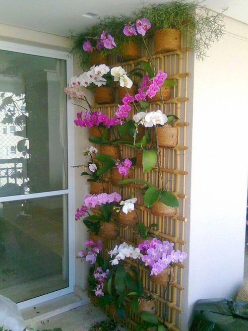 Orchid Vertical Garden