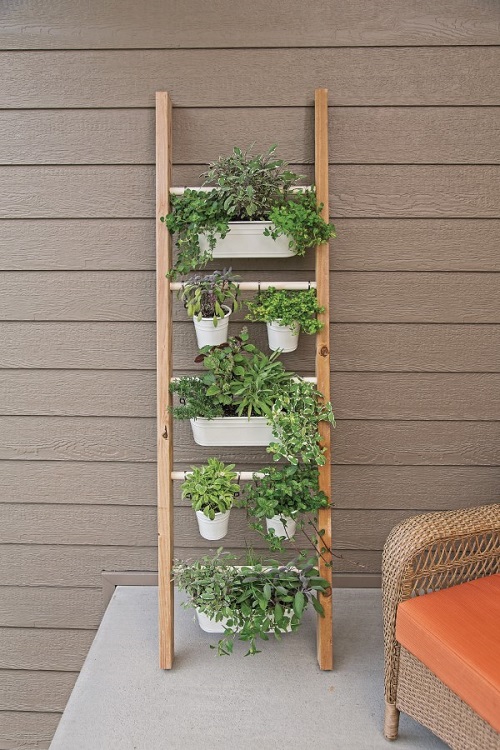 ladder for the herbs