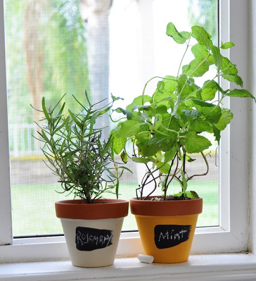 Mini Pots for your Mini Herbs