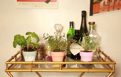 DIY Indoor Herb Garden Ideas 