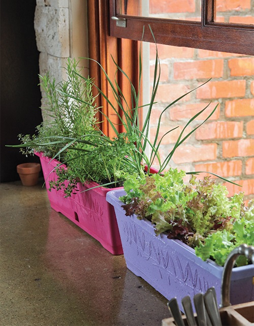 Window Box for your Herbs