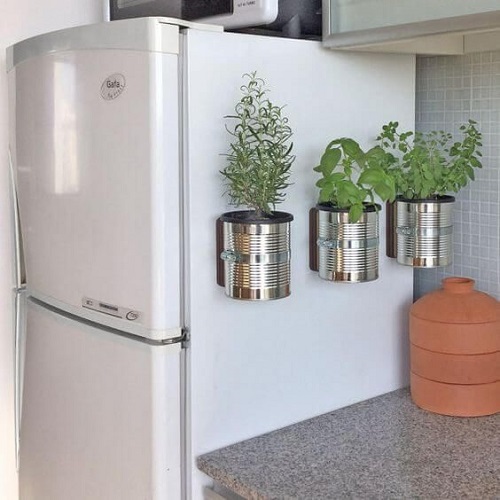 Herb Pots on the Refrigerator