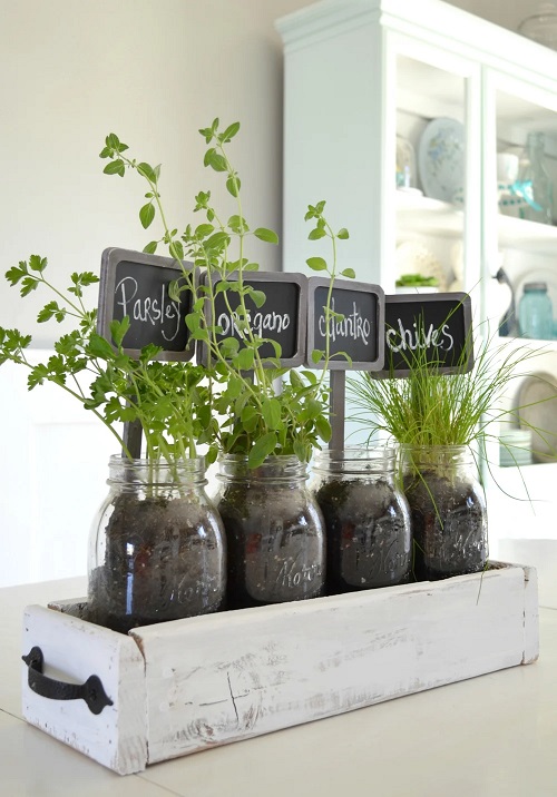 Glass Jars Your Herbs
