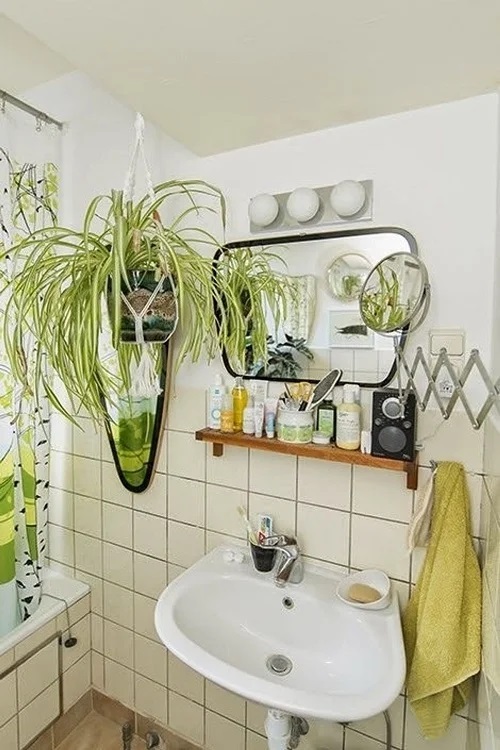 in the bathroom Ways to Style Your Home with Spider Plants
